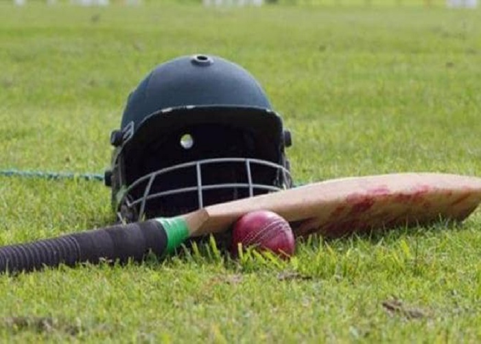 Cricket 2 Satya Day