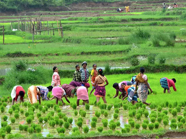 Farmers