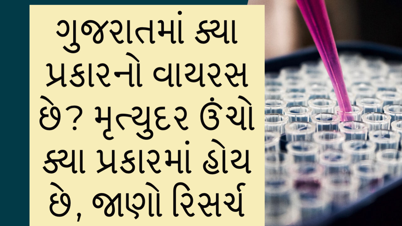 My Post 11