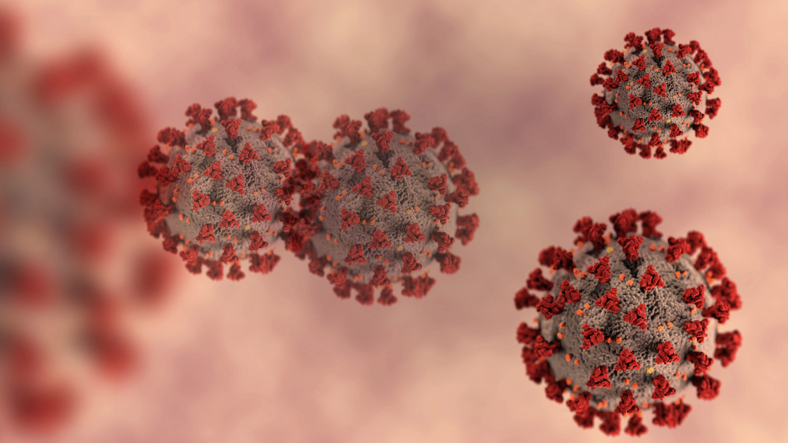 Coronavirus Under The Microscope 1 Scaled 1 Satya Day