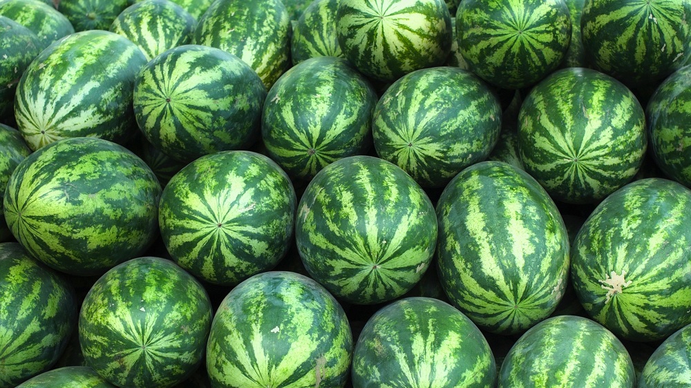 water mellon