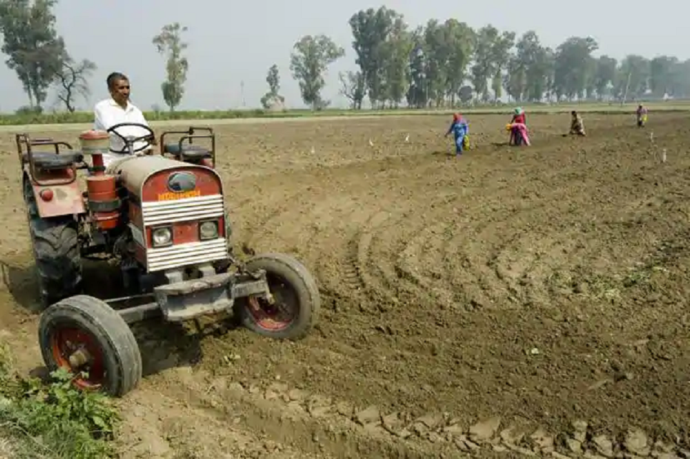 Tractor Farm Farmer