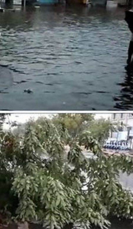 અમદાવાદ-વડોદરા માં વહેલી સવારે ધોધમાર વરસાદ,અમદાવાદ માં અનેક ઝાડ તેમજ હોર્ડિંગ્સ તૂટી પડ્યા ! Whatsapp Image 2020 06 13 At 11.03.57 Pm Satya Day