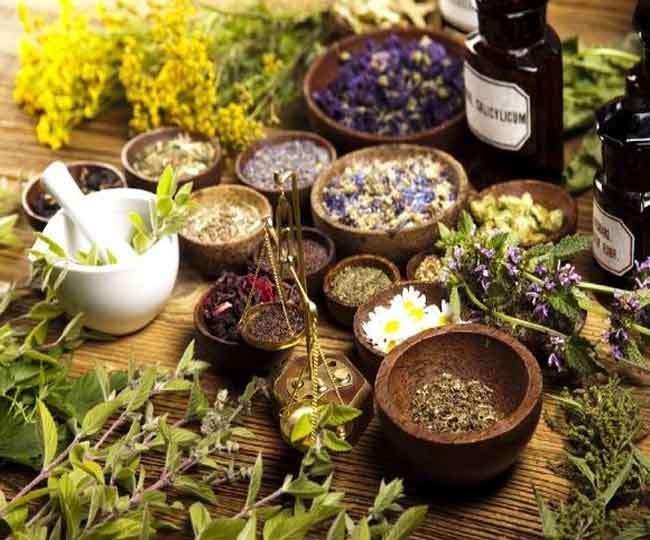 24 06 2017 Medicinalplantsut Satya Day