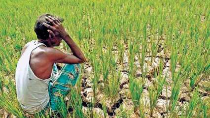 715654 Farmers 102717 Satya Day
