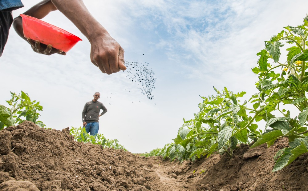 Farmer Spreading Fertilizer