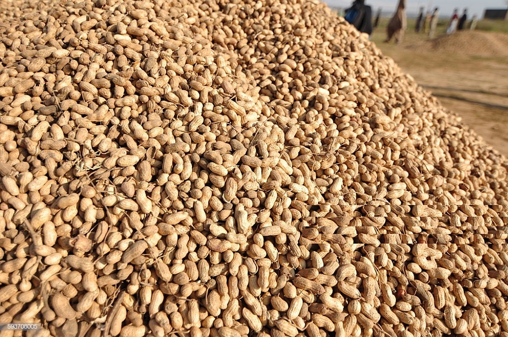 Peanut Pile