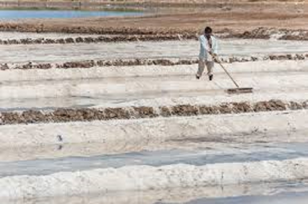 Salt Farming 1