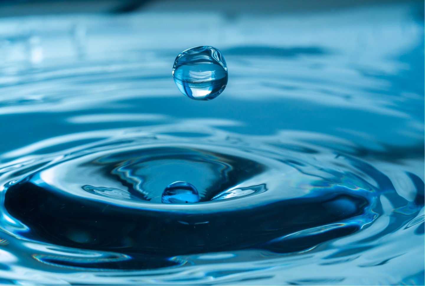 water harvester 1440x970 1