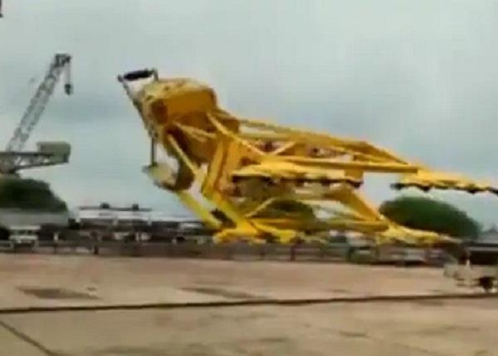 Crane Satya Day