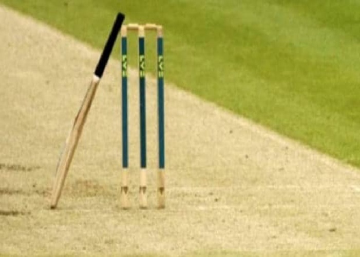 Cricket 2