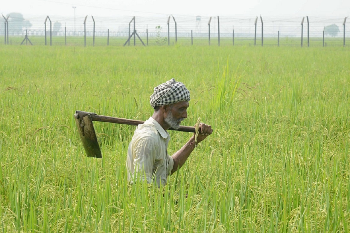 Farmer 1