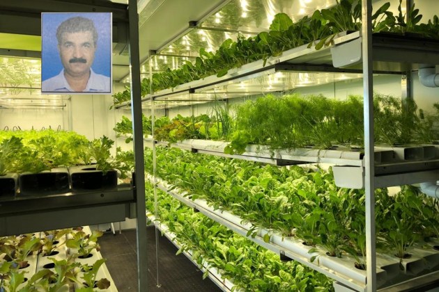 HIDROPONICS FARM2