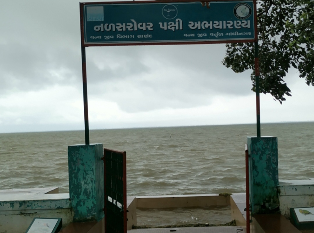 અમદાવાદ નજીક નું પર્યટક સ્થળ નળ સરોવર છલકાયું ! સપાટી 10 ફૂટે પહોંચી Whatsapp Image 2020 08 31 At 12.17.46 Am 1 Satya Day