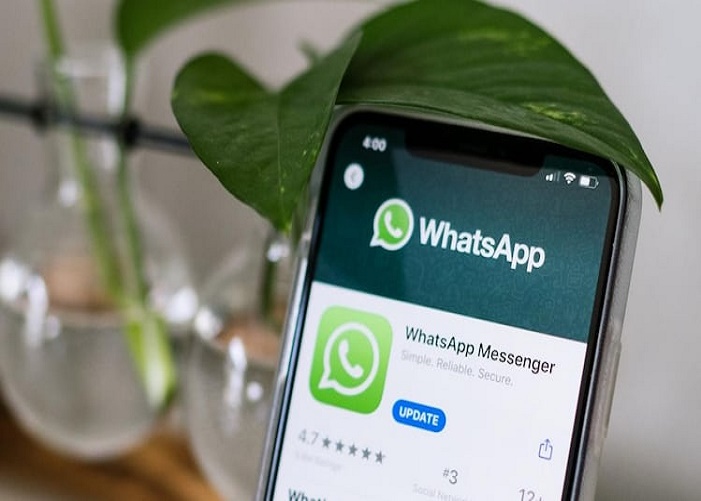 Whatsapp Satya Day