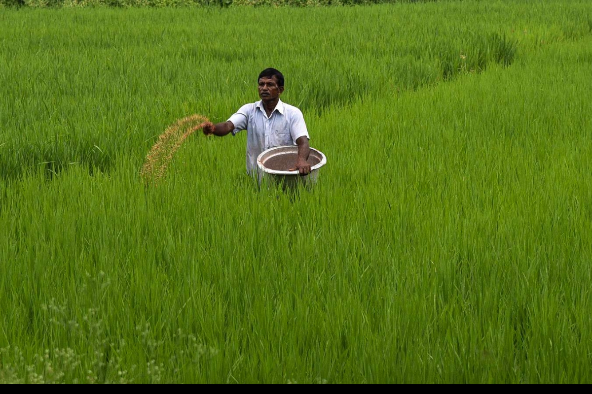 Fertiliser Pic Eps Satya Day