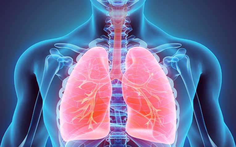 Tuberculosis Hv Satya Day