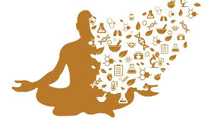 15 16 Satya Day