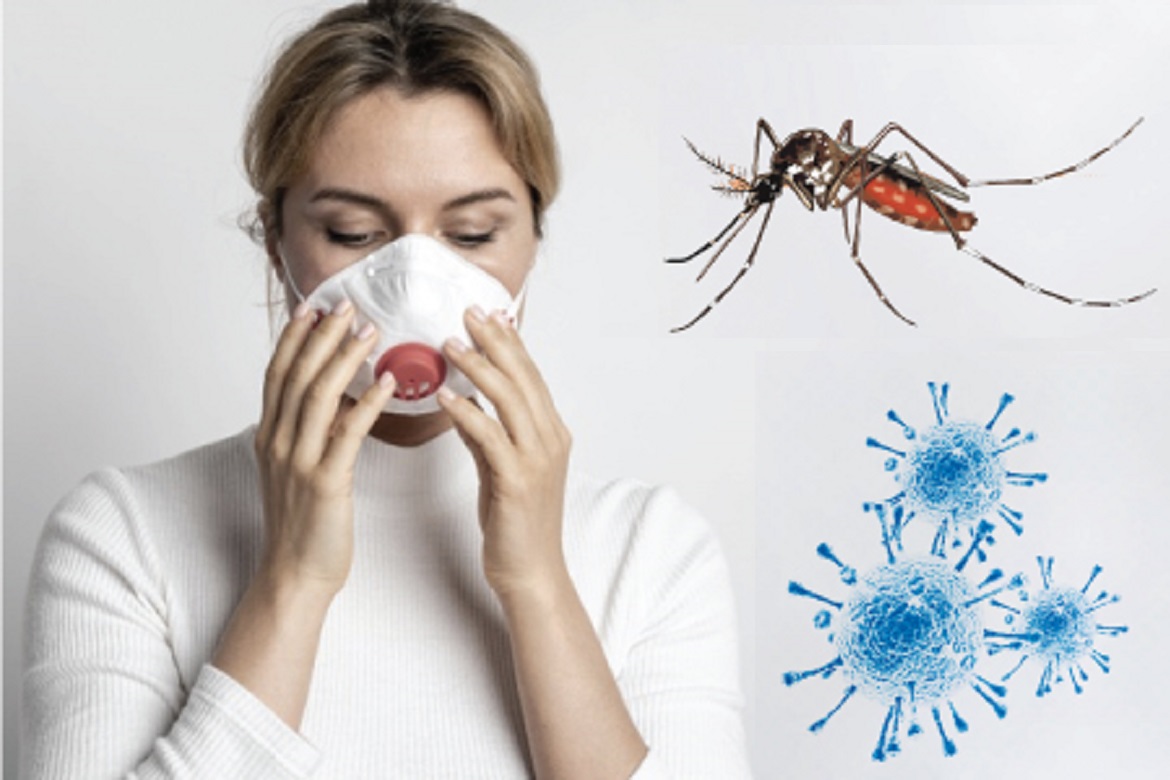 Dengue Corona