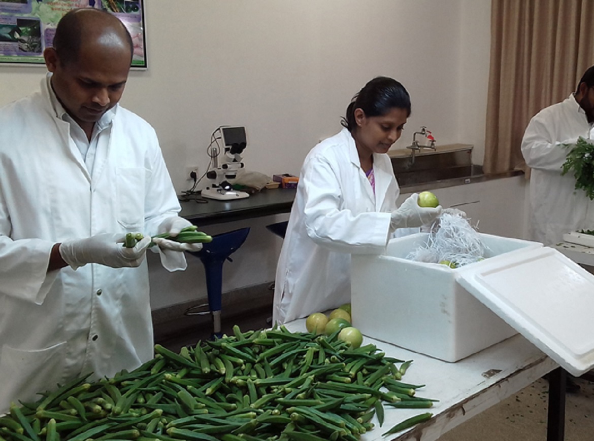 Plant Quarantine Centre 1