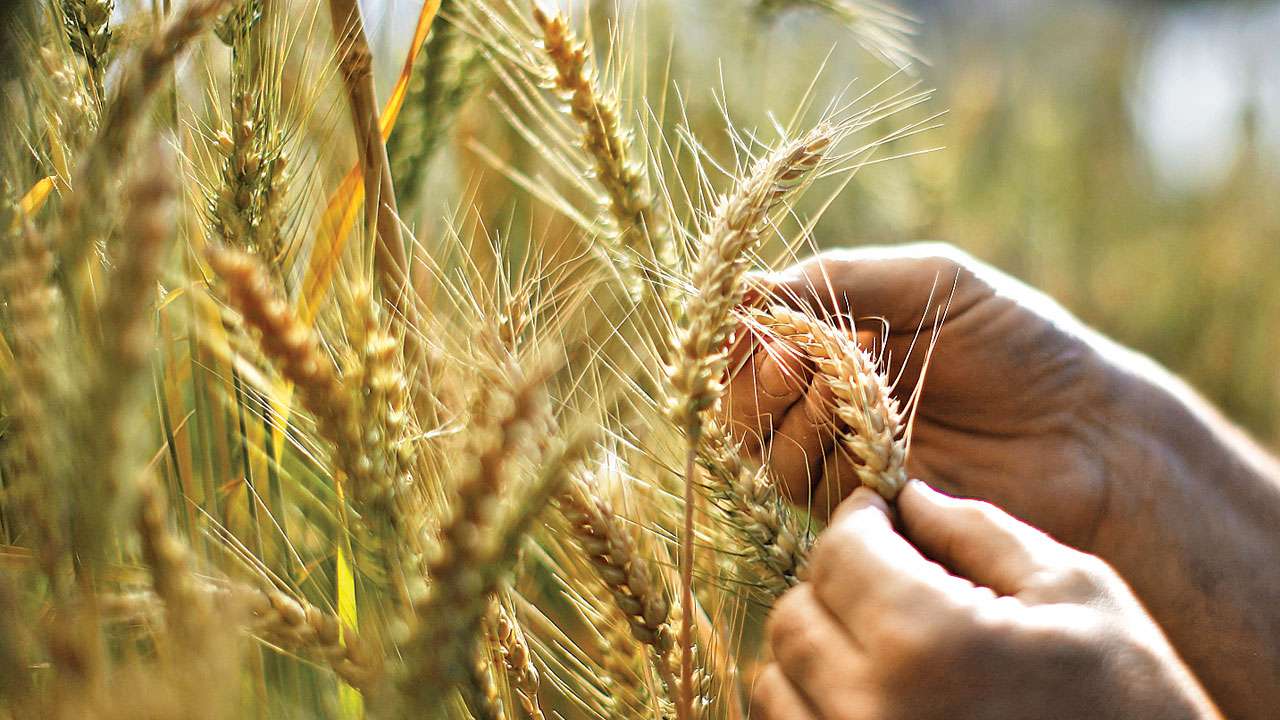 Kharif Crop production 1
