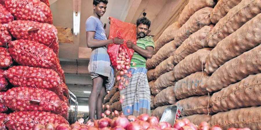 Onion