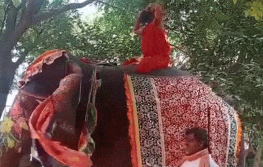 યોગગુરુ બાબા રામદેવ ને હાથી ઉપર યોગ કરવાનું ભારે પડ્યું ! જમીન ઉપર પટકાયા ! લોકો એ ‘જોકર’ કહી ને કરી મજાક ! Whatsapp Image 2020 10 14 At 10.47.33 Am 1 Satya Day