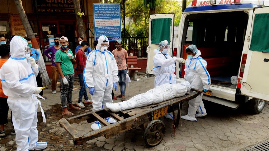 coronavirus deaths