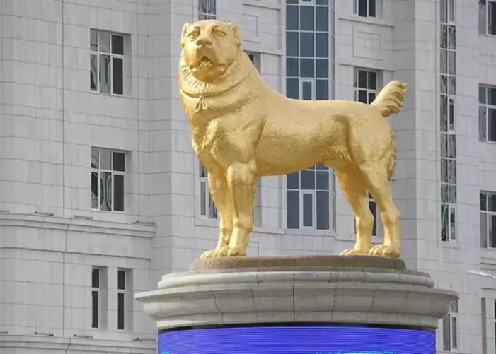 Gold Dog Satya Day