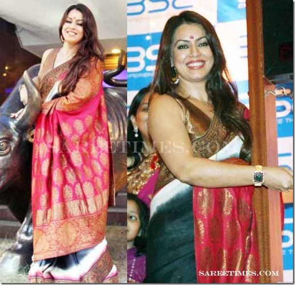 Mahima Chaudhary Designer Saree thumb1