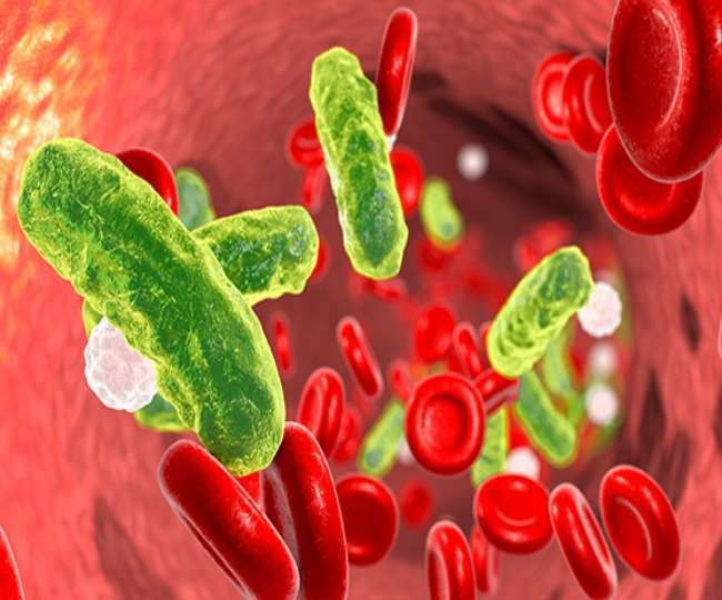 26 12 2020 antibodies 21205887