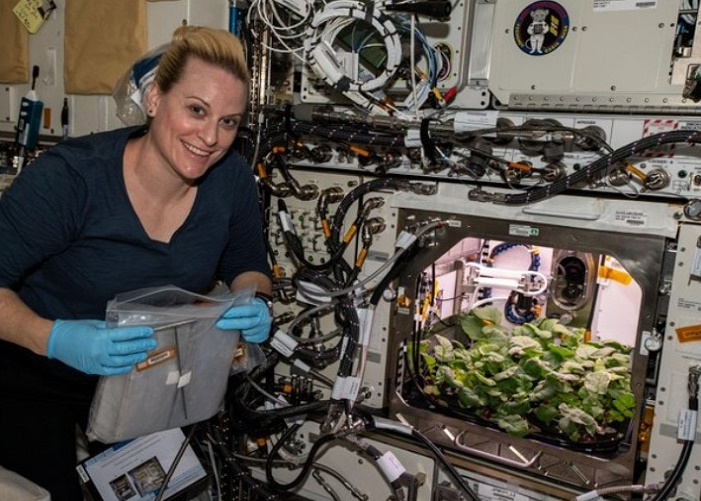 Nasa Plant Satya Day