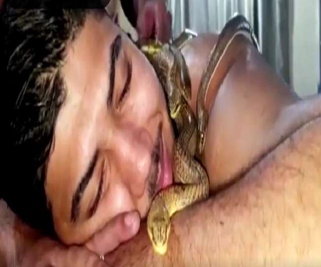 02 01 2021 Viral Video 21230455 Satya Day