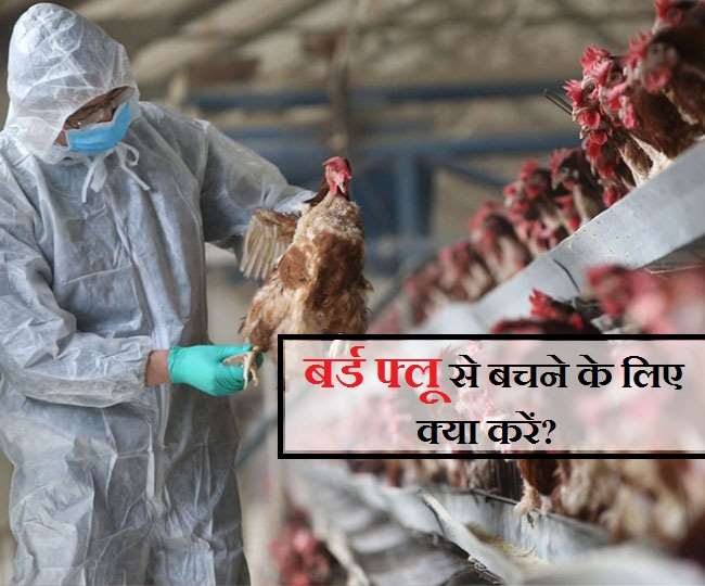 07 01 2021 Bird Flu Prevention 21247352 Satya Day