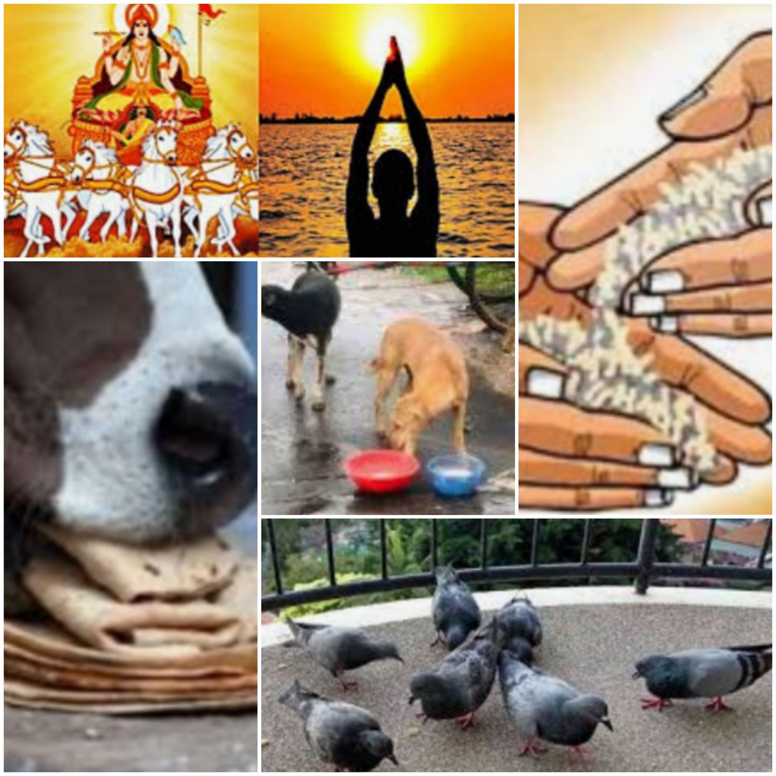 ઉત્તરાયણ પર્વ દિને 2 વર્ષ બાદ રચાશે વિશેષ યોગ,સાડા સાતી પનોતી માંથી મળશે રાહત 20210109 071553 scaled