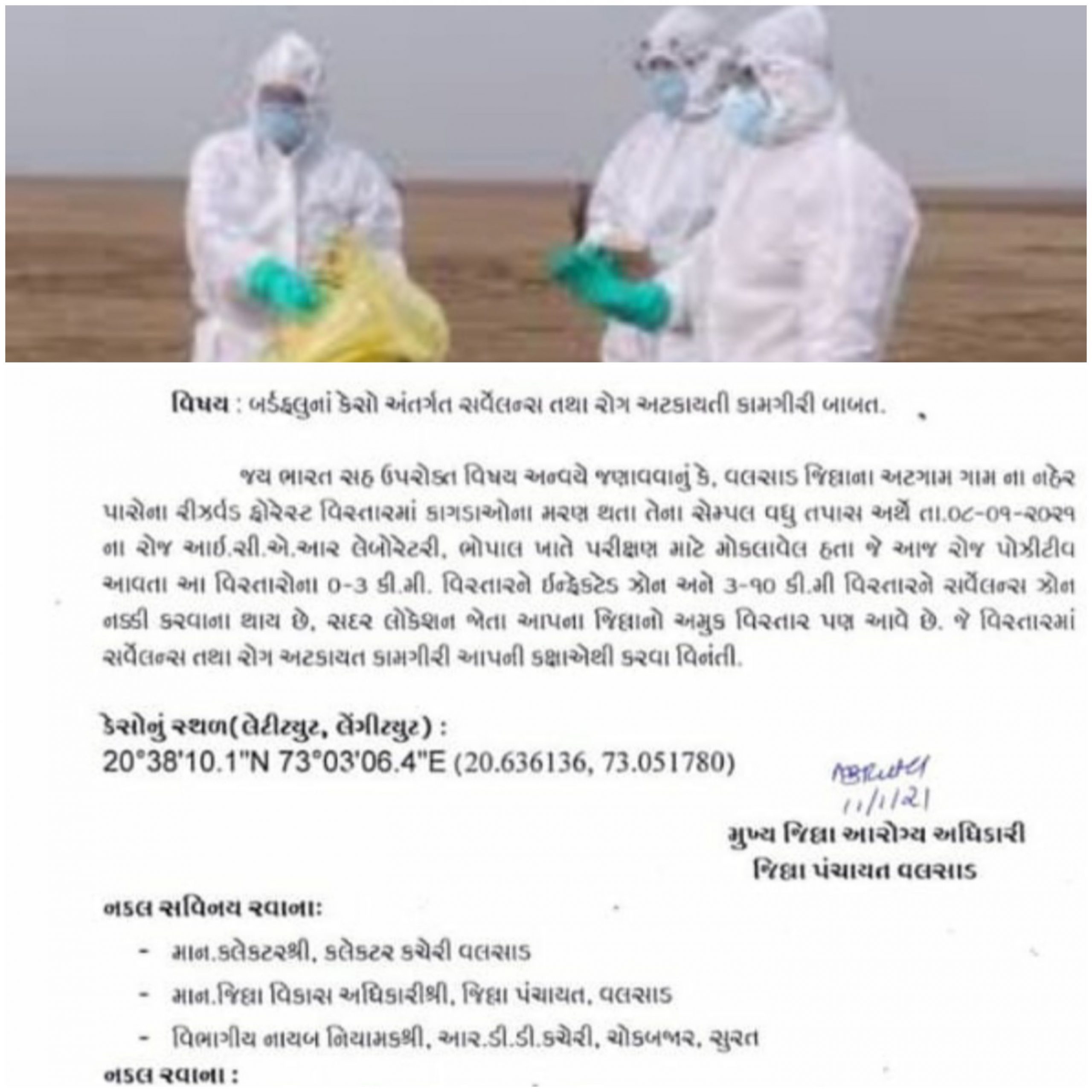 વલસાડ માં બર્ડ ફલૂ ની એન્ટ્રી,મૃત કાગડાઓ ના રિપોર્ટ પોઝીટિવ આવતા તંત્ર માં દોડધામ 20210111 192701 Scaled Satya Day