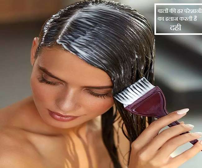 10 02 2021 Curd For Hair 21355161 Satya Day