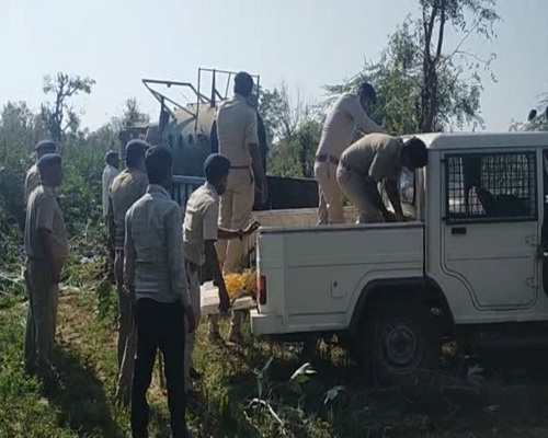 Bear In Banaskantha Satya Day