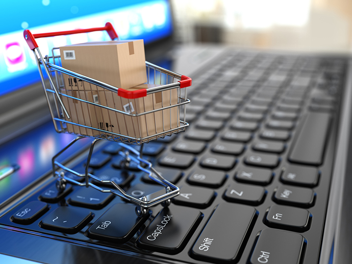 Ecommerce Shopping Satya Day
