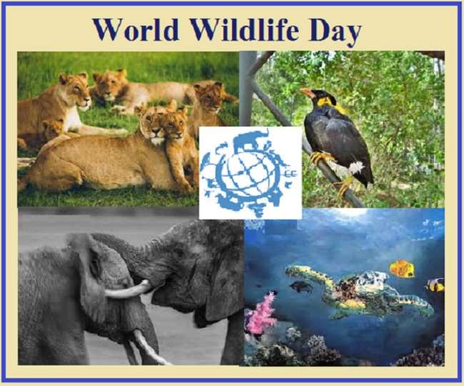 03 03 2021 World Wildlife Day 21423764 Satya Day