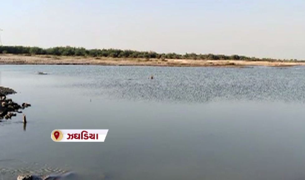 5 people drowning zaghadiya