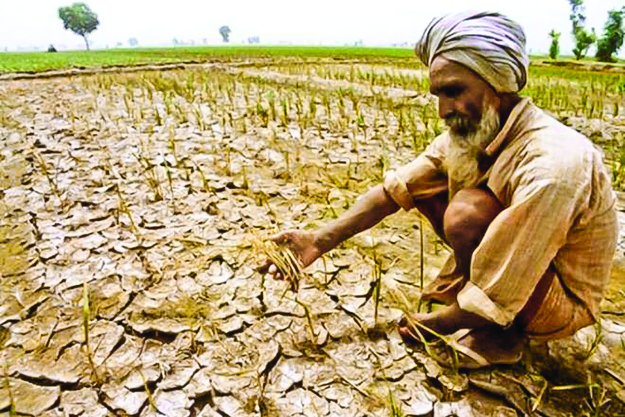 5 Kundan farmers edited farmer reu 1