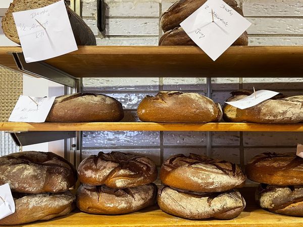 Bread2 1616531175 Satya Day