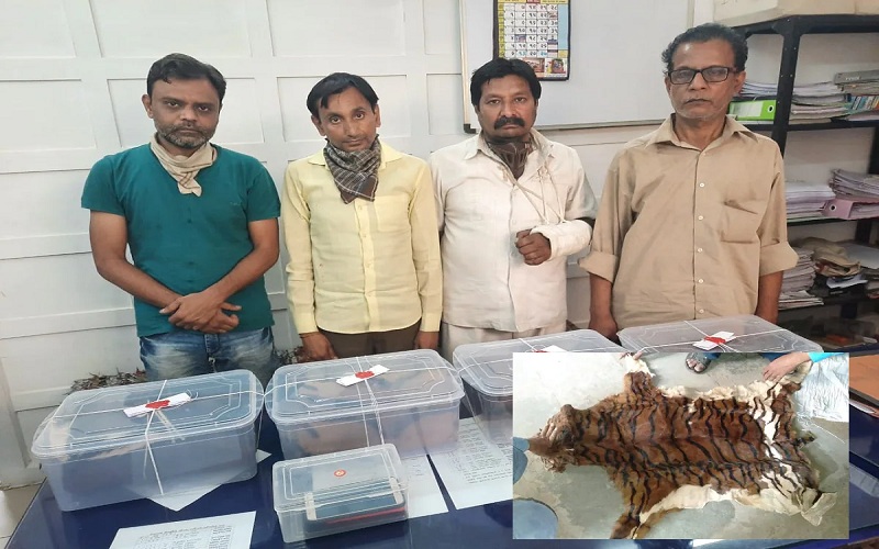 Tiger Skin Ahmedabad Crime Branch Satya Day