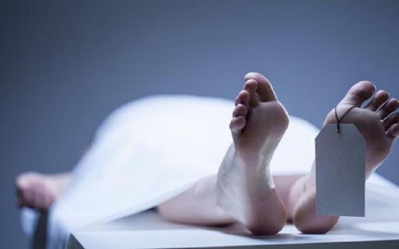 wife murder