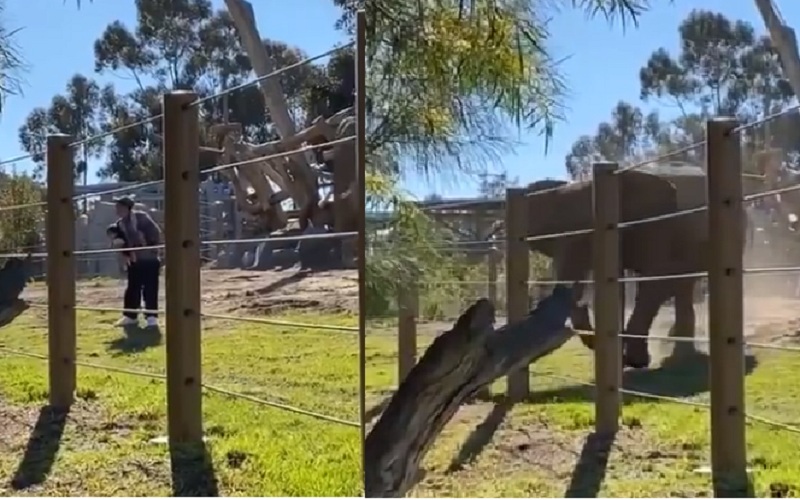 zoo