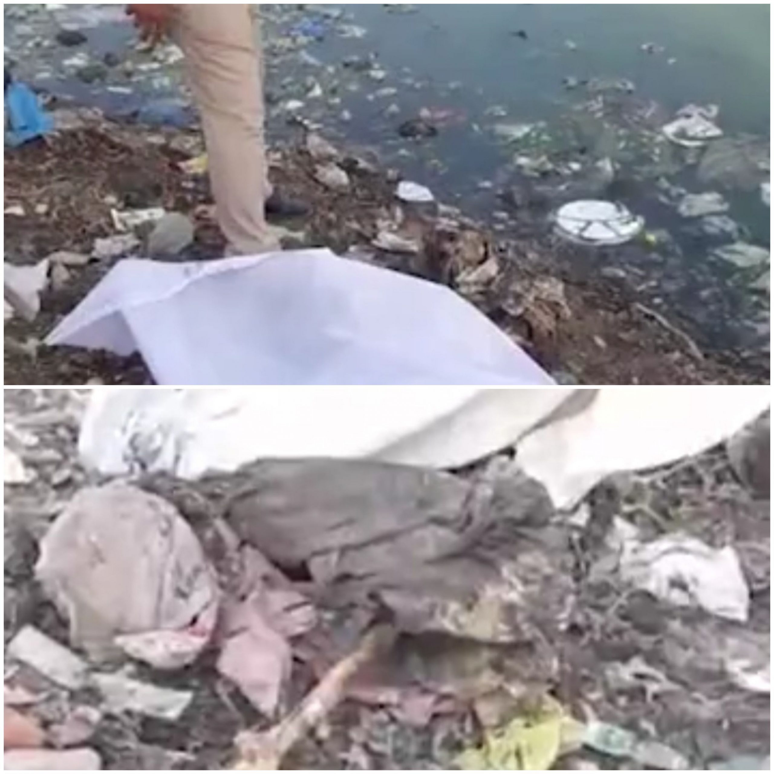 વડોદરા ના ગોત્રી તળાવ માંથી માનવ કંકાલ મળતા ચકચાર, પોલીસે તપાસ શરૂ કરી 20210404 100131 scaled