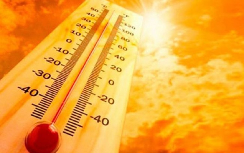 Gujarat heat wave