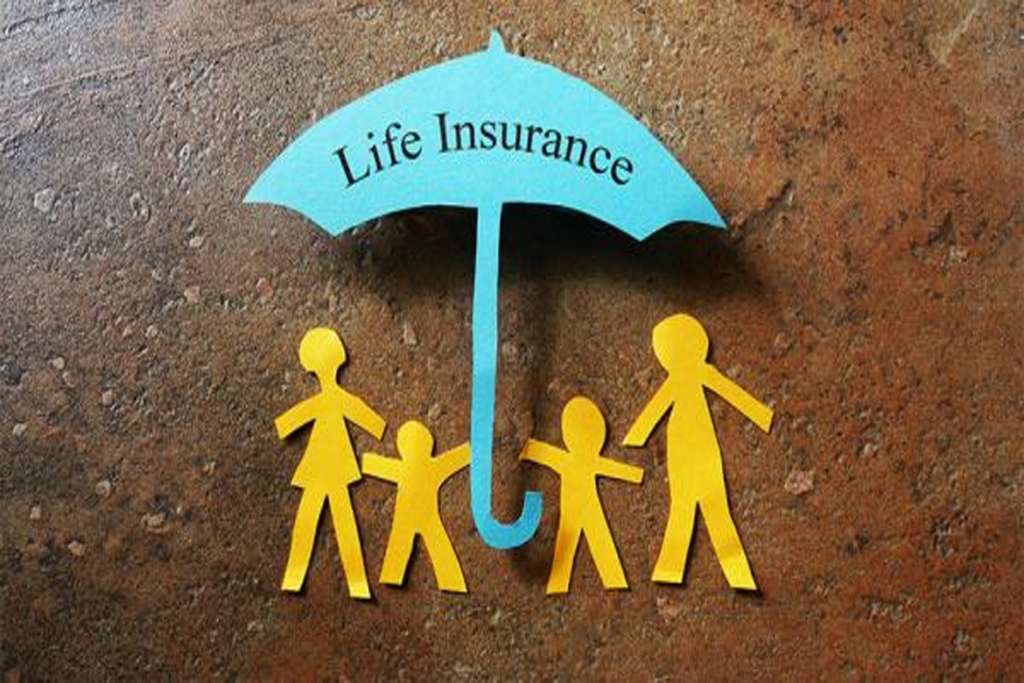Lic 2 3 1024X683 1 Satya Day