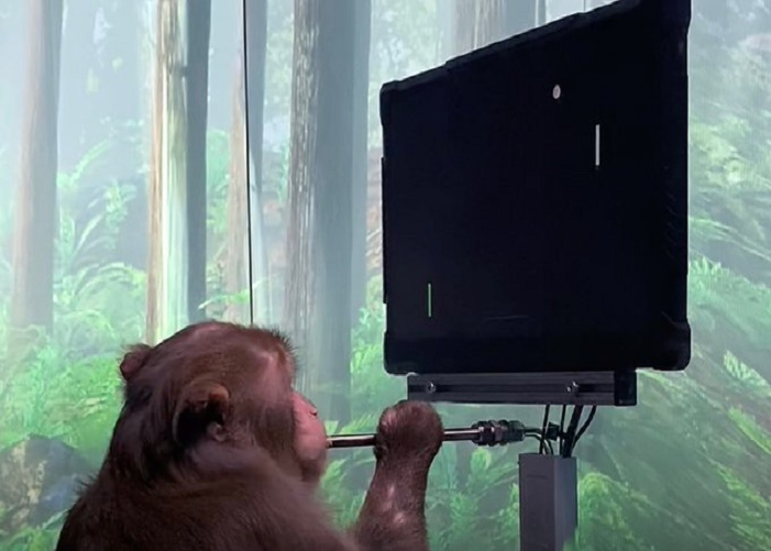 Monkey Satya Day